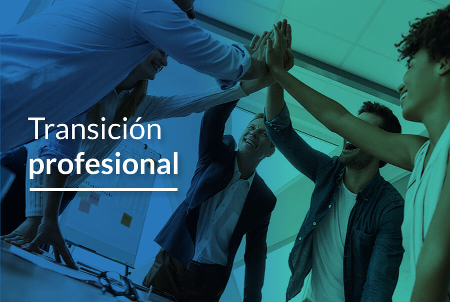 Transicion profesional